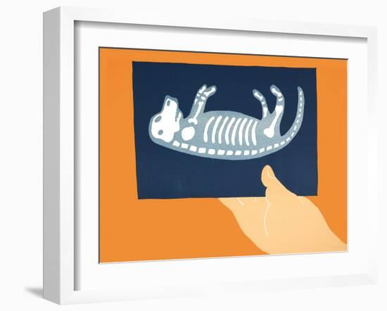 X-Ray-Stephen Huneck-Framed Giclee Print