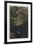 Xanthosoma and Other Exotic Flora and Birds in the Brazilian Jungle-J. Selleny-Framed Photographic Print