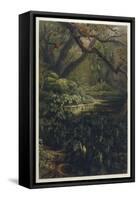 Xanthosoma and Other Exotic Flora and Birds in the Brazilian Jungle-J. Selleny-Framed Stretched Canvas