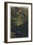 Xanthosoma and Other Exotic Flora and Birds in the Brazilian Jungle-J. Selleny-Framed Photographic Print