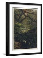 Xanthosoma and Other Exotic Flora and Birds in the Brazilian Jungle-J. Selleny-Framed Photographic Print