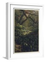Xanthosoma and Other Exotic Flora and Birds in the Brazilian Jungle-J. Selleny-Framed Photographic Print