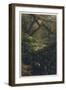 Xanthosoma and Other Exotic Flora and Birds in the Brazilian Jungle-J. Selleny-Framed Premium Photographic Print
