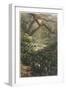 Xanthosoma and Other Exotic Flora, and Birds in the Brazilian Jungle-null-Framed Art Print