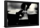 Essential Black
