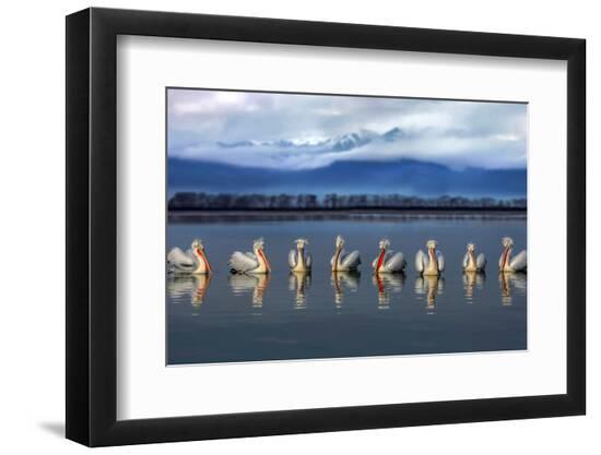 Premium Photographic Print, , large