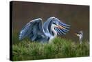 Stretched Canvas