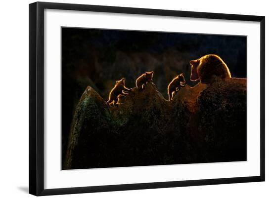 Photographic Print, , large