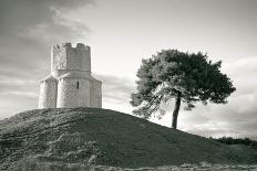 Wine Barrels on Stari Grad Plain-xbrchx-Photographic Print