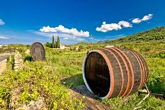Wine Barrels on Stari Grad Plain-xbrchx-Photographic Print