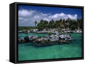 Xel-Ha Marine Park, Cancun, Mexico-Angelo Cavalli-Framed Stretched Canvas