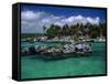 Xel-Ha Marine Park, Cancun, Mexico-Angelo Cavalli-Framed Stretched Canvas