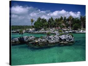 Xel-Ha Marine Park, Cancun, Mexico-Angelo Cavalli-Stretched Canvas