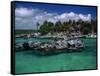 Xel-Ha Marine Park, Cancun, Mexico-Angelo Cavalli-Framed Stretched Canvas