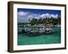 Xel-Ha Marine Park, Cancun, Mexico-Angelo Cavalli-Framed Photographic Print