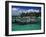 Xel-Ha Marine Park, Cancun, Mexico-Angelo Cavalli-Framed Photographic Print