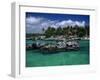 Xel-Ha Marine Park, Cancun, Mexico-Angelo Cavalli-Framed Photographic Print