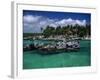 Xel-Ha Marine Park, Cancun, Mexico-Angelo Cavalli-Framed Photographic Print