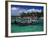 Xel-Ha Marine Park, Cancun, Mexico-Angelo Cavalli-Framed Photographic Print