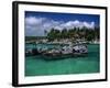 Xel-Ha Marine Park, Cancun, Mexico-Angelo Cavalli-Framed Photographic Print