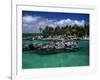 Xel-Ha Marine Park, Cancun, Mexico-Angelo Cavalli-Framed Photographic Print