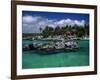 Xel-Ha Marine Park, Cancun, Mexico-Angelo Cavalli-Framed Photographic Print