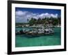 Xel-Ha Marine Park, Cancun, Mexico-Angelo Cavalli-Framed Photographic Print