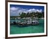 Xel-Ha Marine Park, Cancun, Mexico-Angelo Cavalli-Framed Photographic Print