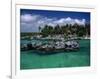 Xel-Ha Marine Park, Cancun, Mexico-Angelo Cavalli-Framed Photographic Print