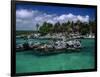 Xel-Ha Marine Park, Cancun, Mexico-Angelo Cavalli-Framed Photographic Print