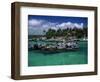 Xel-Ha Marine Park, Cancun, Mexico-Angelo Cavalli-Framed Photographic Print