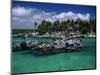 Xel-Ha Marine Park, Cancun, Mexico-Angelo Cavalli-Mounted Photographic Print