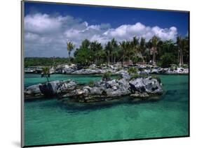 Xel-Ha Marine Park, Cancun, Mexico-Angelo Cavalli-Mounted Photographic Print