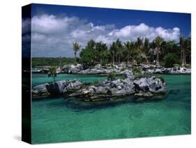 Xel-Ha Marine Park, Cancun, Mexico-Angelo Cavalli-Stretched Canvas