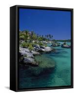 Xelha Marine Park, Cancun, Mexico-Angelo Cavalli-Framed Stretched Canvas