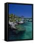 Xelha Marine Park, Cancun, Mexico-Angelo Cavalli-Framed Stretched Canvas