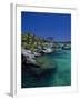 Xelha Marine Park, Cancun, Mexico-Angelo Cavalli-Framed Premium Photographic Print