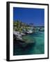 Xelha Marine Park, Cancun, Mexico-Angelo Cavalli-Framed Premium Photographic Print