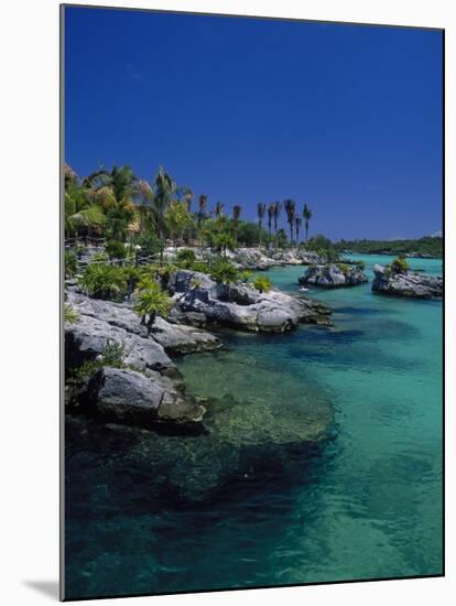 Xelha Marine Park, Cancun, Mexico-Angelo Cavalli-Mounted Premium Photographic Print