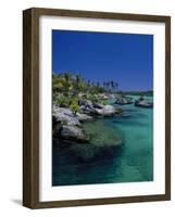 Xelha Marine Park, Cancun, Mexico-Angelo Cavalli-Framed Photographic Print