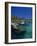 Xelha Marine Park, Cancun, Mexico-Angelo Cavalli-Framed Photographic Print