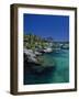 Xelha Marine Park, Cancun, Mexico-Angelo Cavalli-Framed Photographic Print