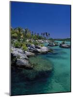 Xelha Marine Park, Cancun, Mexico-Angelo Cavalli-Mounted Photographic Print