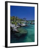 Xelha Marine Park, Cancun, Mexico-Angelo Cavalli-Framed Photographic Print