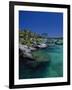 Xelha Marine Park, Cancun, Mexico-Angelo Cavalli-Framed Photographic Print