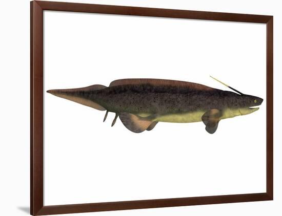 Xenacanthus, a Prehistoric Shark from the Devonian and Triassic Period-null-Framed Art Print