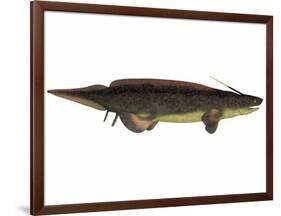 Xenacanthus, a Prehistoric Shark from the Devonian and Triassic Period-null-Framed Art Print