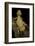 Xenagama Taylori (Taylor's Strange Agama, Dwarf Shield-Tailed Agama)-Paul Starosta-Framed Photographic Print