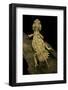 Xenagama Taylori (Taylor's Strange Agama, Dwarf Shield-Tailed Agama)-Paul Starosta-Framed Photographic Print