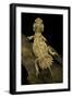 Xenagama Taylori (Taylor's Strange Agama, Dwarf Shield-Tailed Agama)-Paul Starosta-Framed Photographic Print